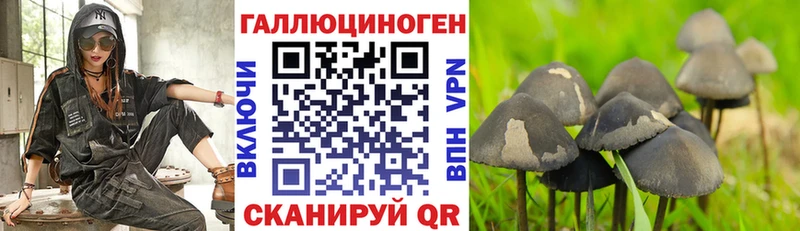 Псилоцибиновые грибы ЛСД Островной