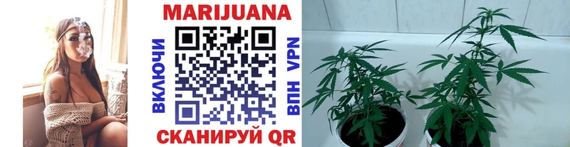 МАРИХУАНА Ganja  хочу   Островной 